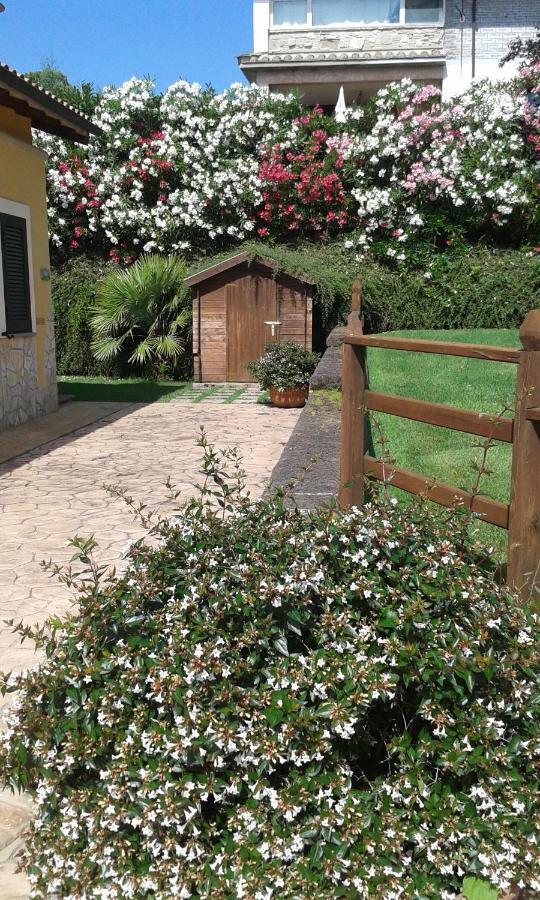 L'Infinito Bed and Breakfast Carbognano Εξωτερικό φωτογραφία