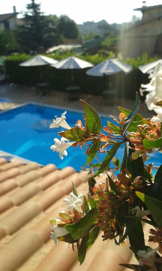 L'Infinito Bed and Breakfast Carbognano Εξωτερικό φωτογραφία